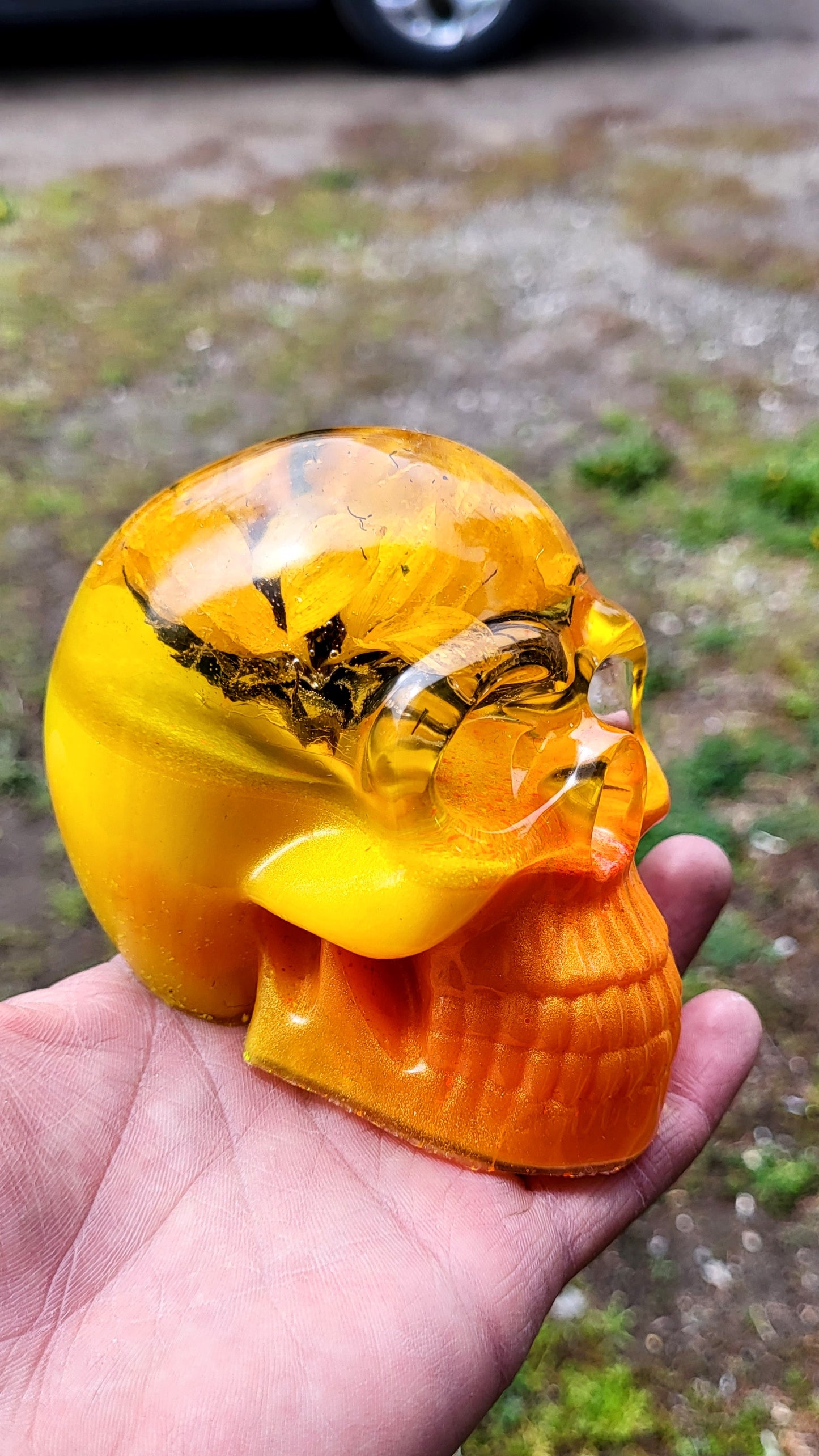 Sunflower skull