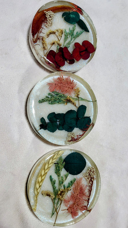Botanical Coasters