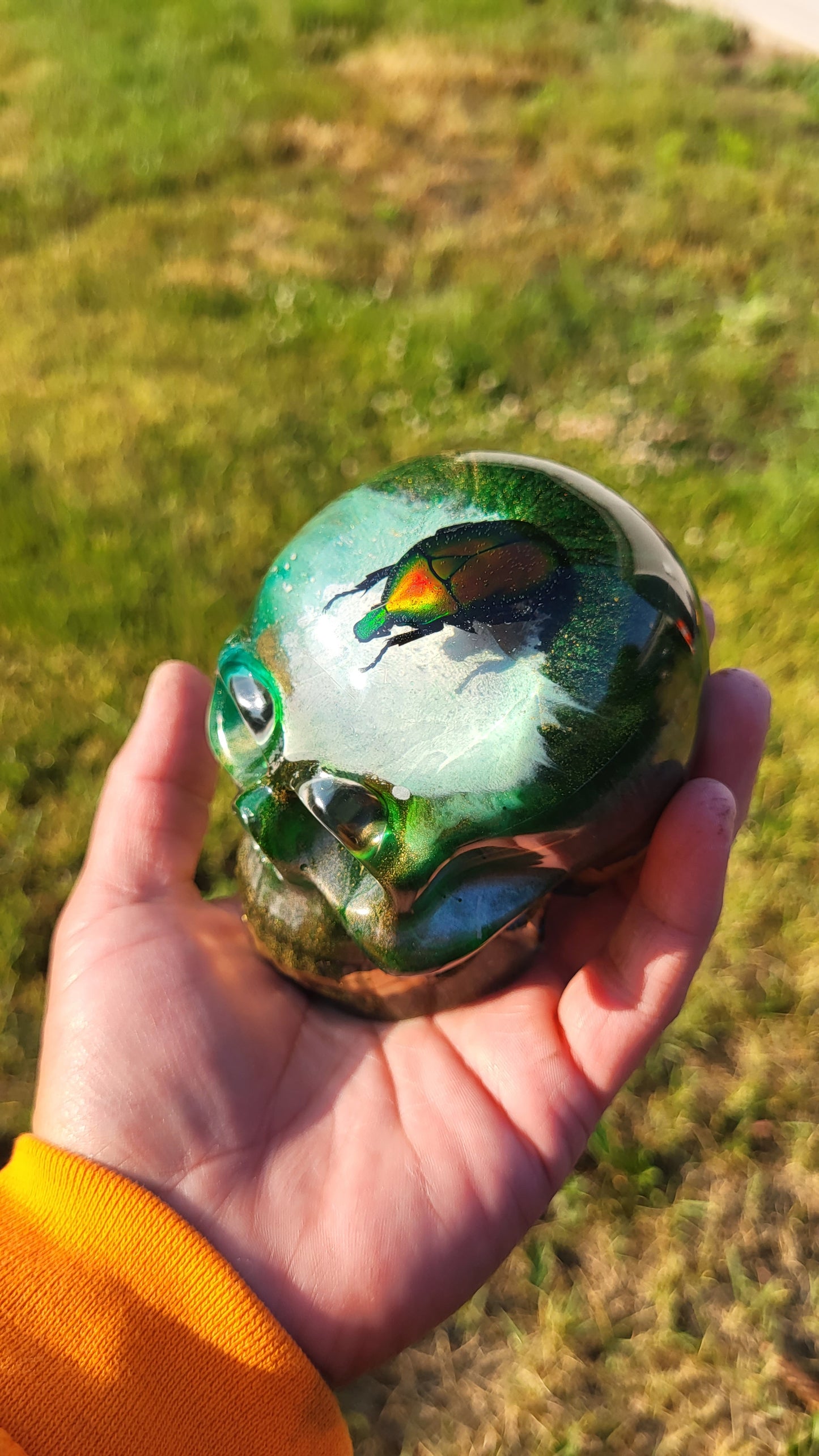 Exotic Beetle Skulls