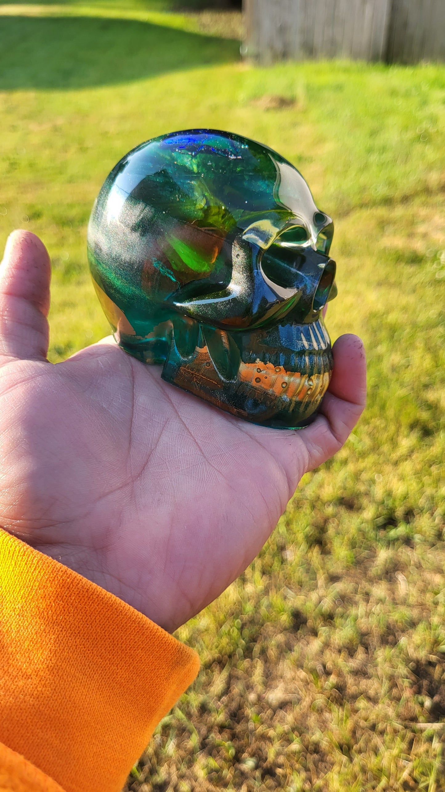 Exotic Beetle Skulls