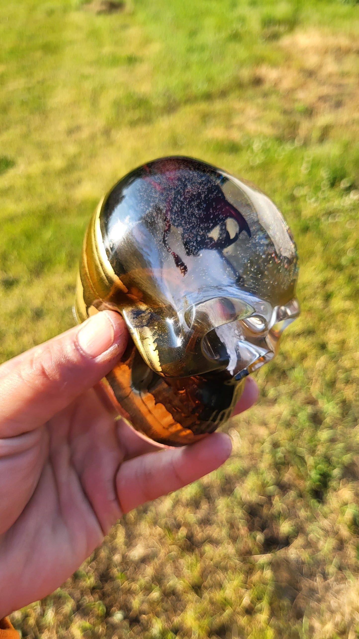 Exotic Beetle Skulls