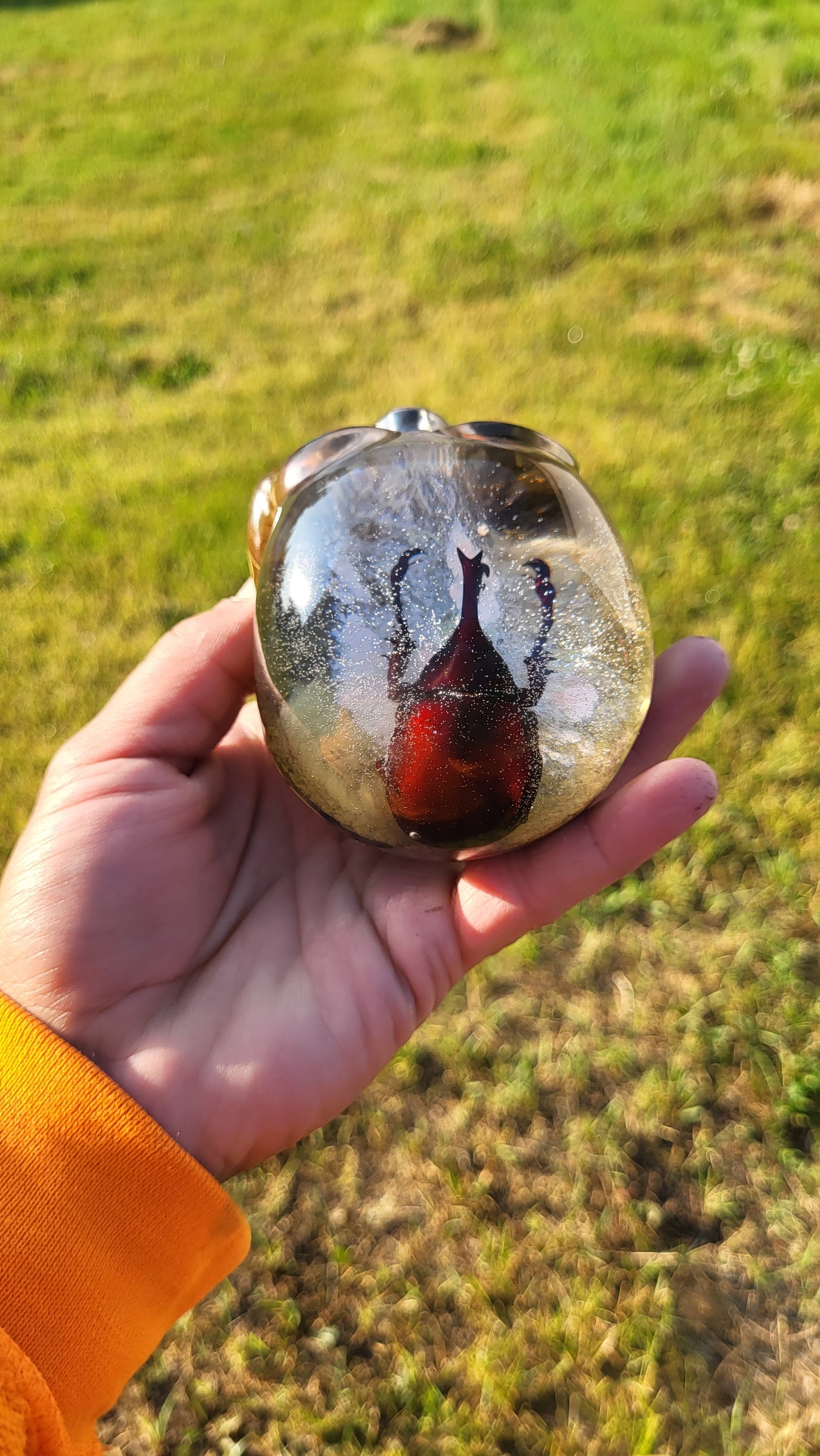 Exotic Beetle Skulls