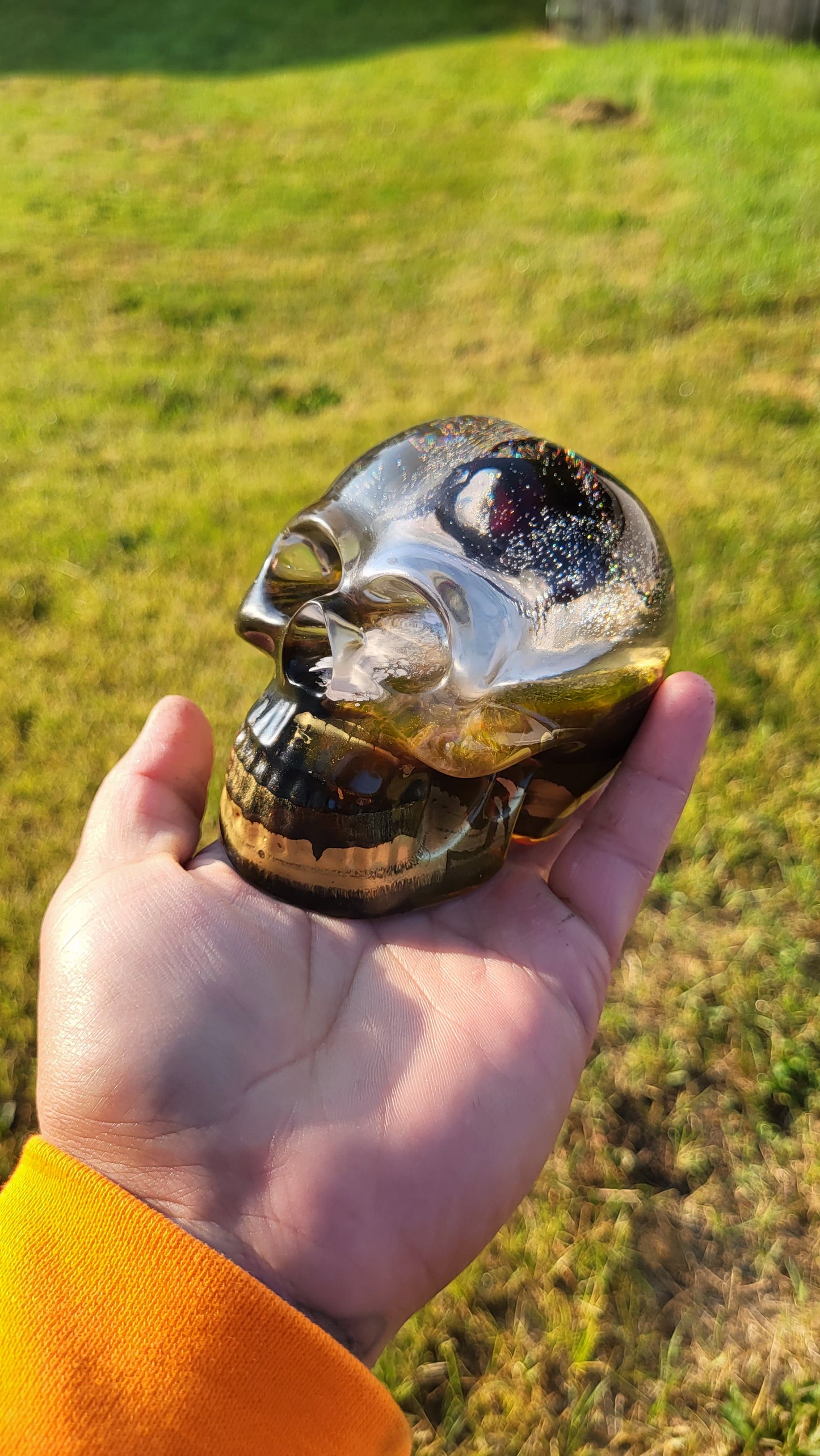 Exotic Beetle Skulls