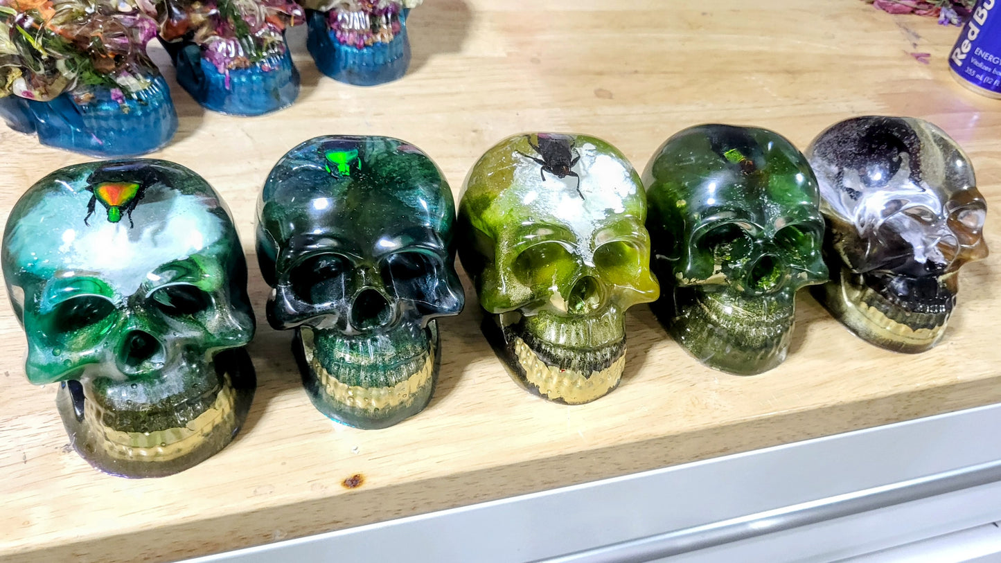 Exotic Beetle Skulls