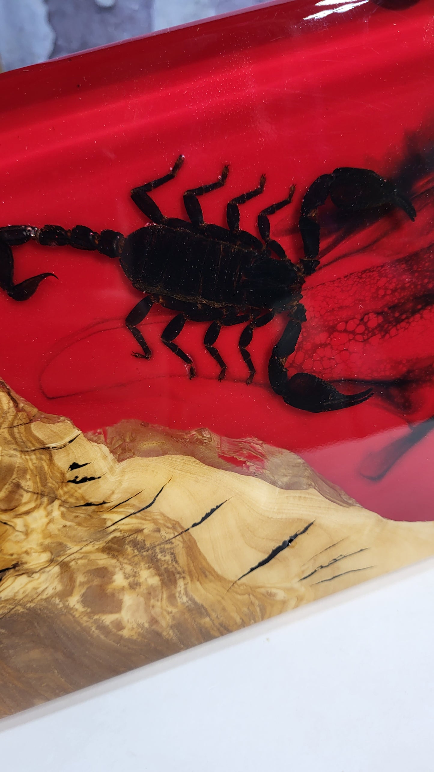 Scorpion Board