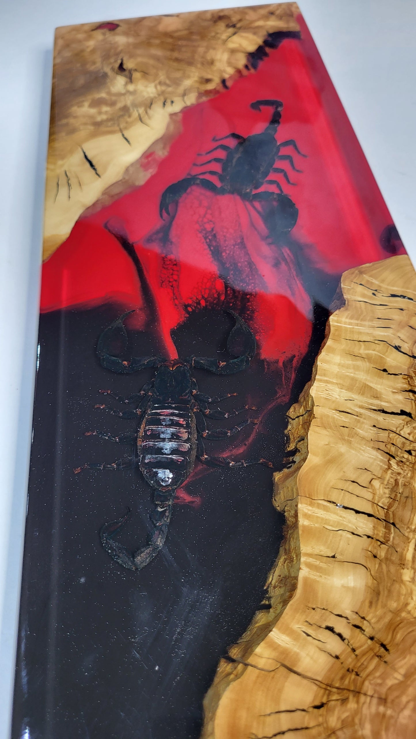 Scorpion Board