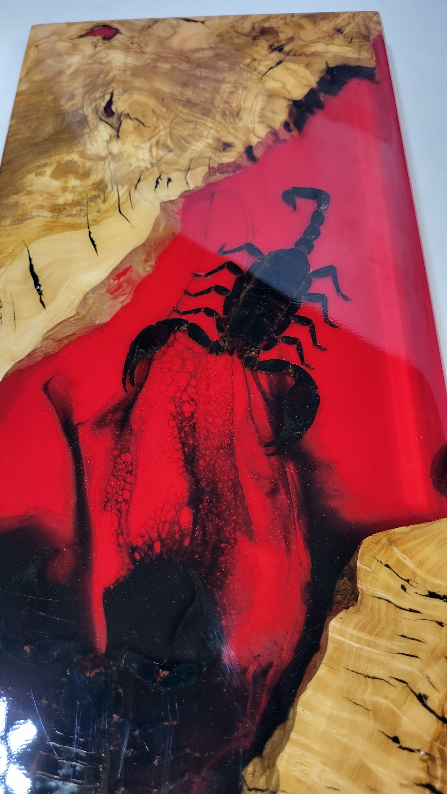 Scorpion Board