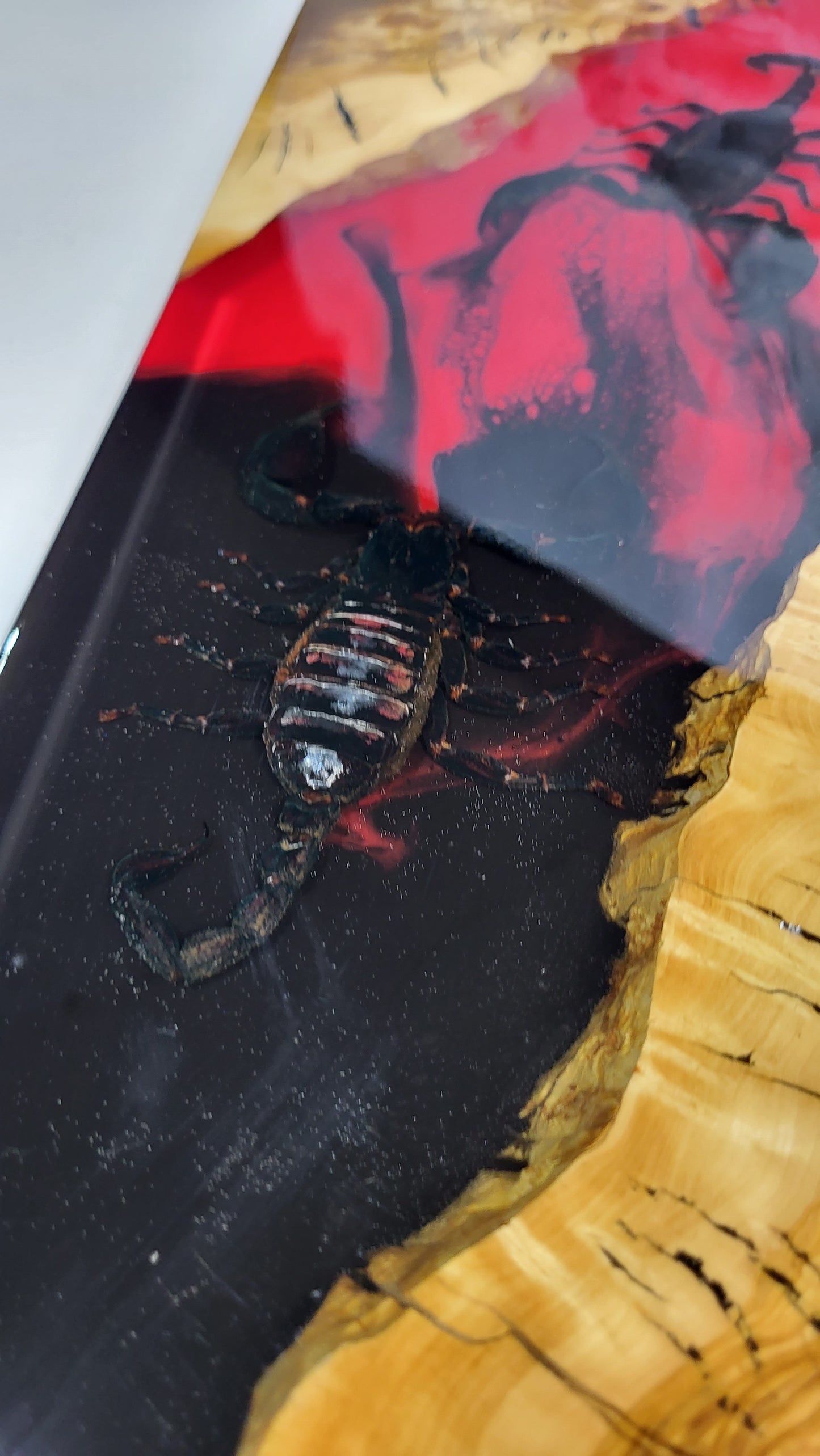 Scorpion Board