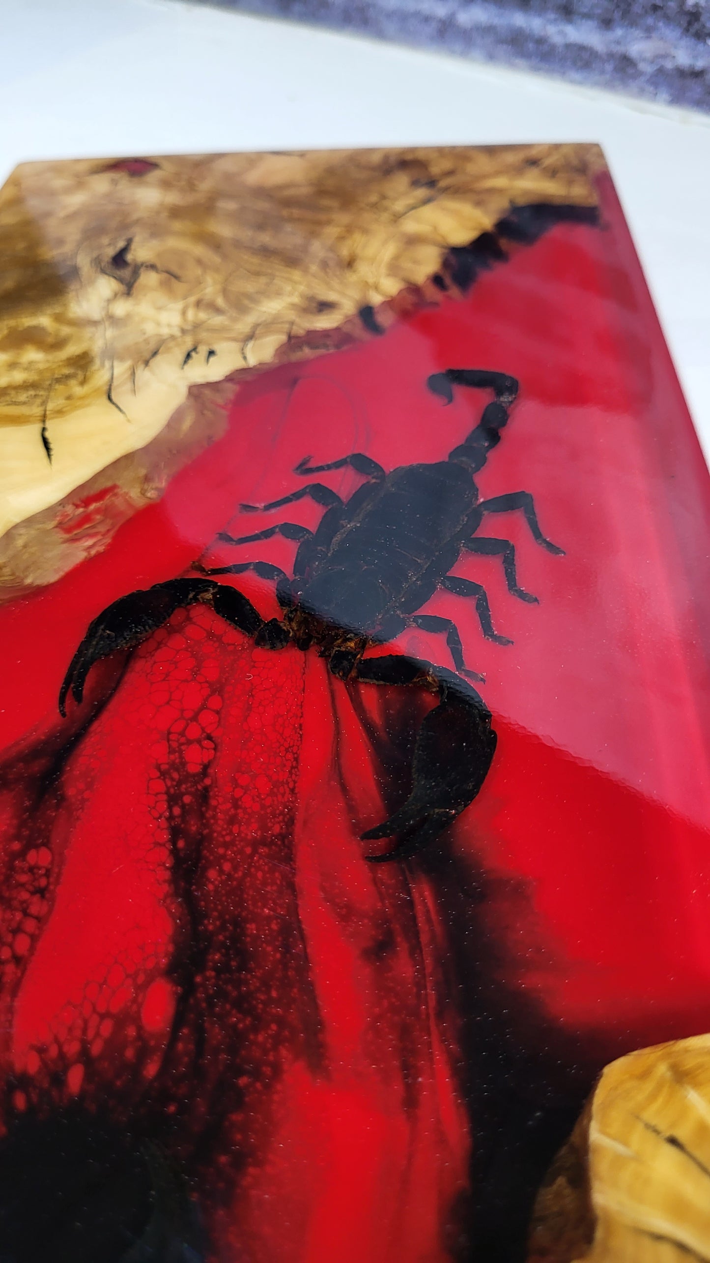 Scorpion Board