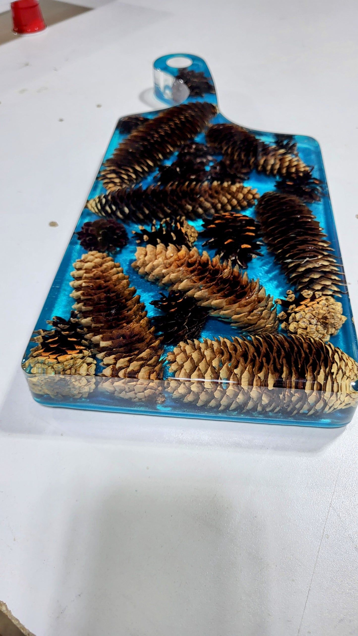 PINE CONE CHARCUTERIE