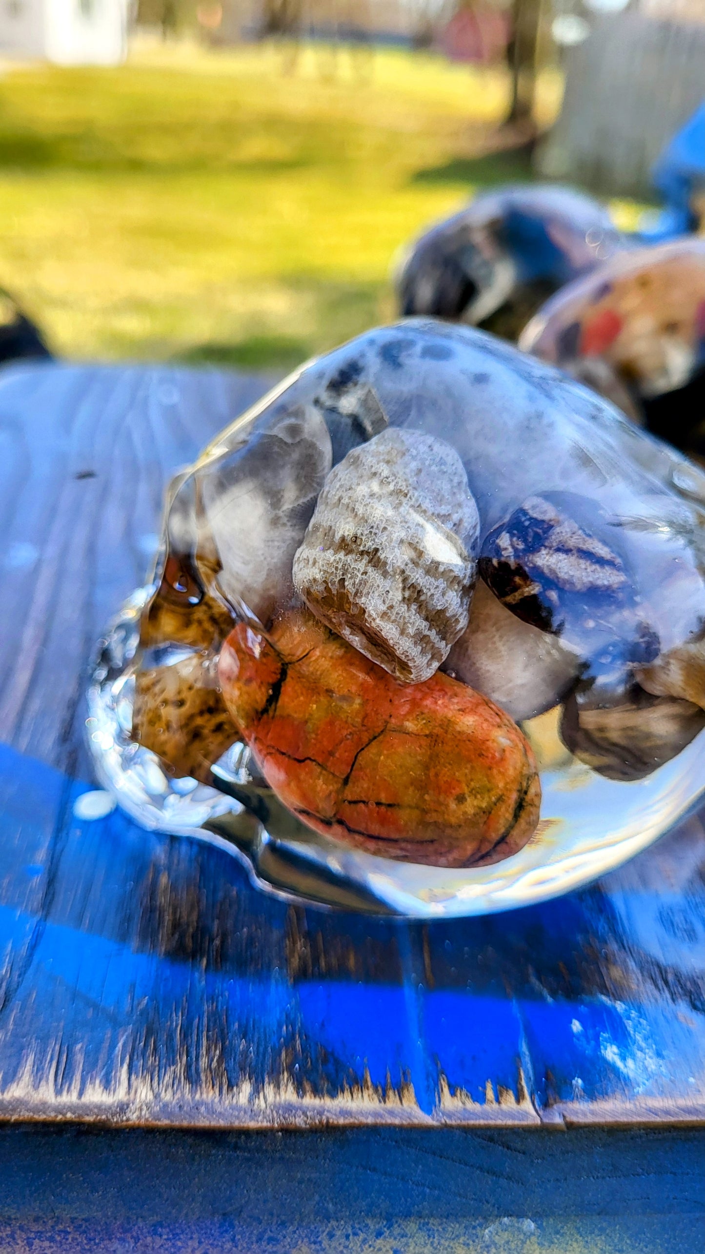 Petoskey Skull - medium