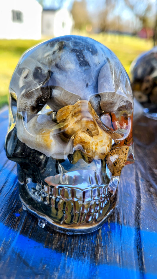 Petoskey Skull - medium