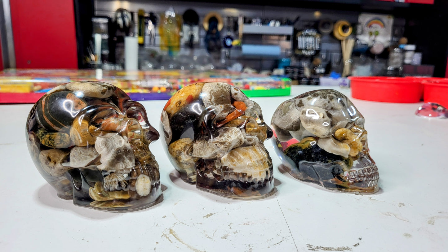 Petoskey Skull Resin Encapsulation – Michigan Fossils & Great Lakes Stones | Nita's Fluid Wood