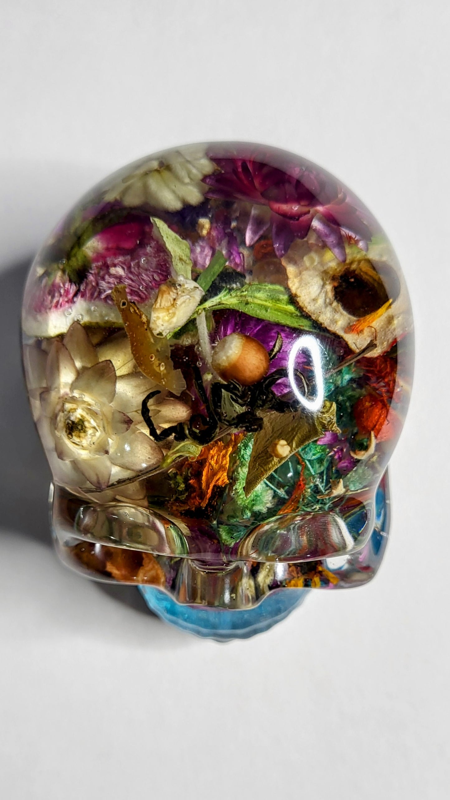 Abundance skull (fatty)