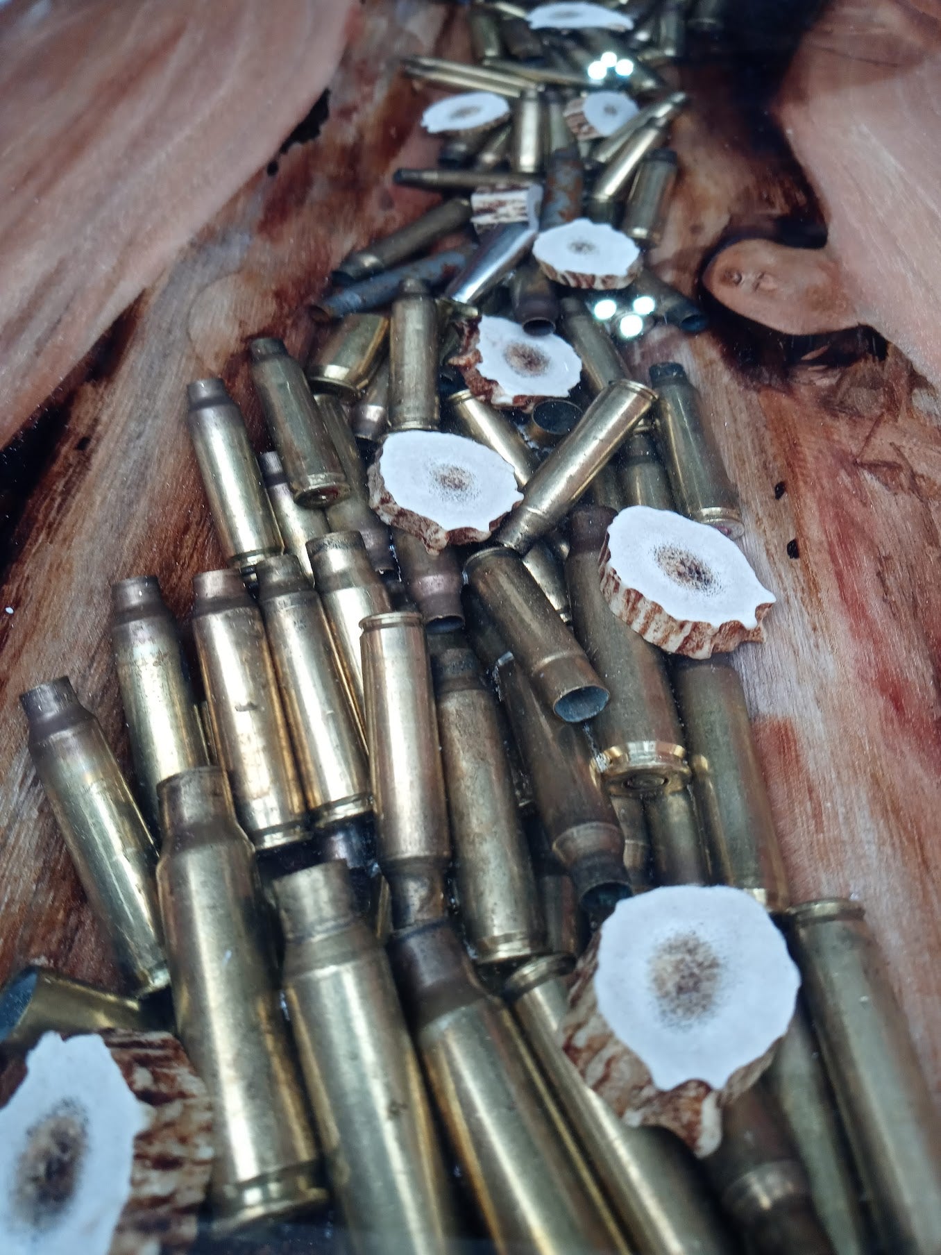 ammo2