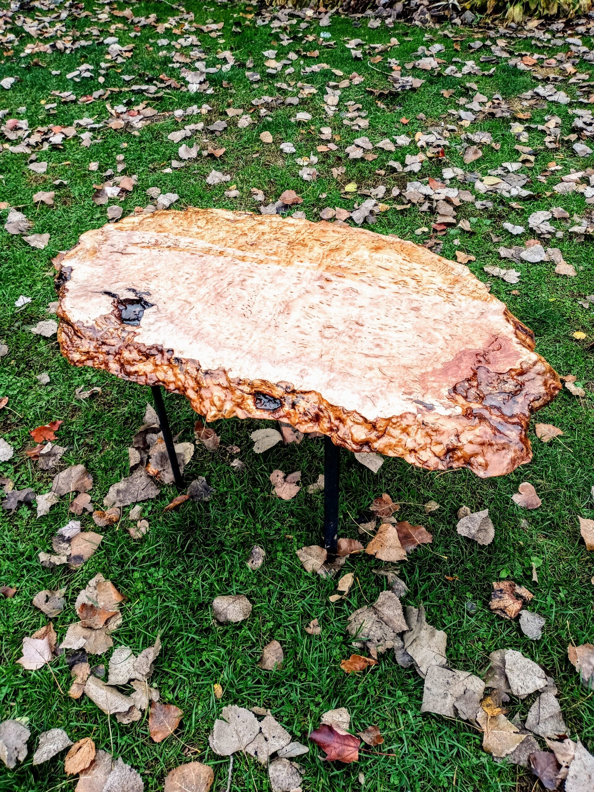burl5