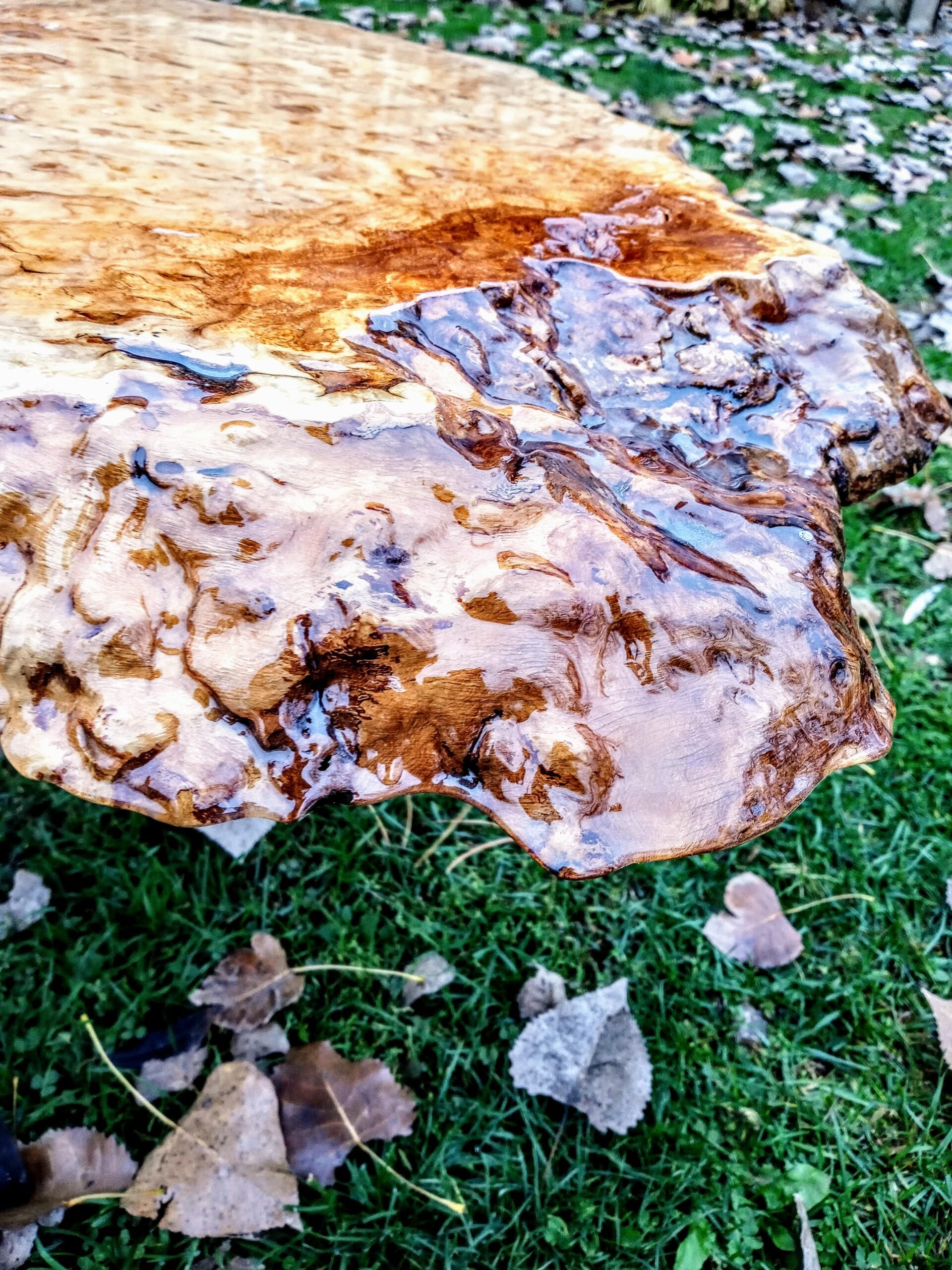 burl7