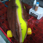 Epoxy River Longboard