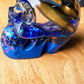 Pisces Skull