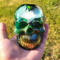 Exotic Beetle Skulls