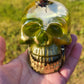 Exotic Beetle Skulls