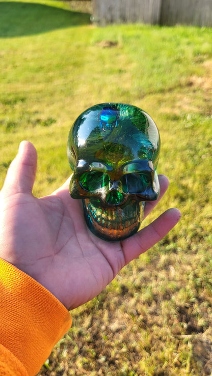 Exotic Beetle Skulls