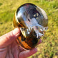 Exotic Beetle Skulls