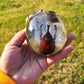 Exotic Beetle Skulls