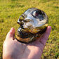Exotic Beetle Skulls