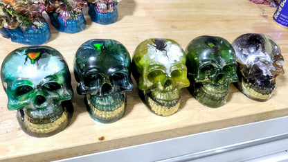 Exotic Beetle Skulls