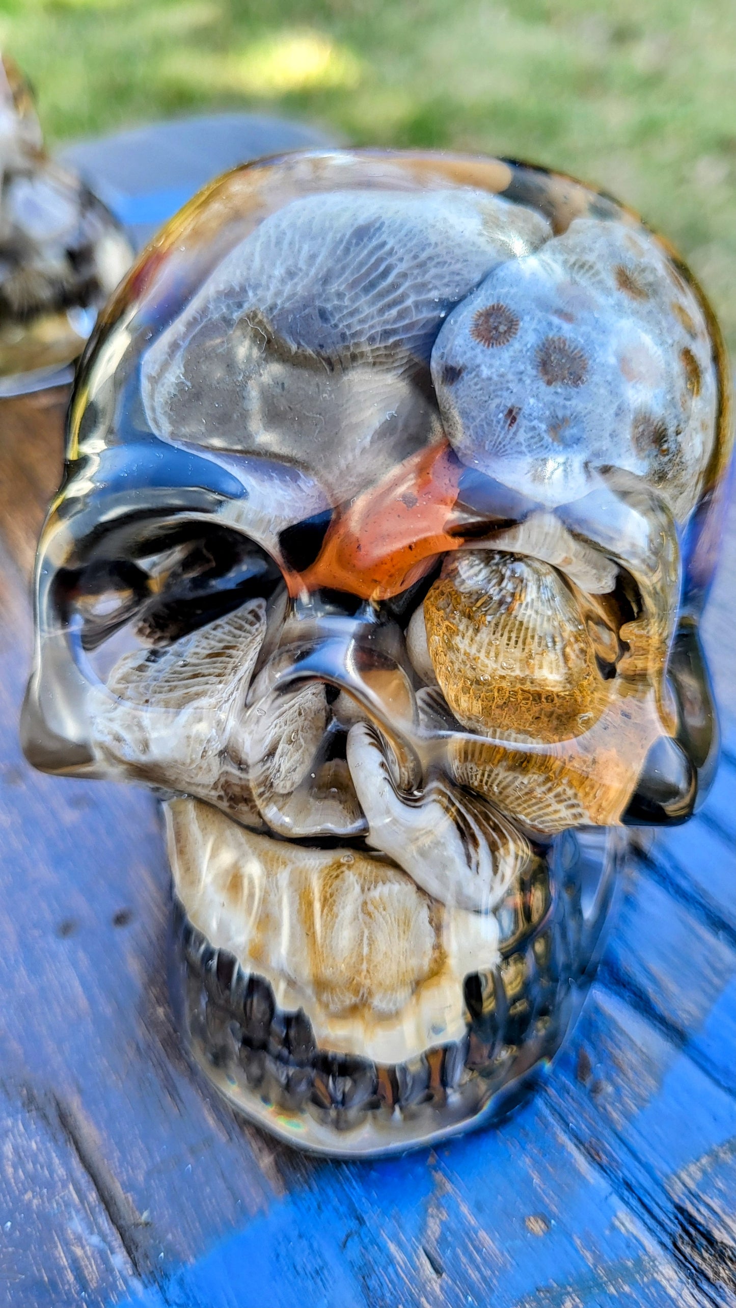 Petoskey Skull/ Fatty