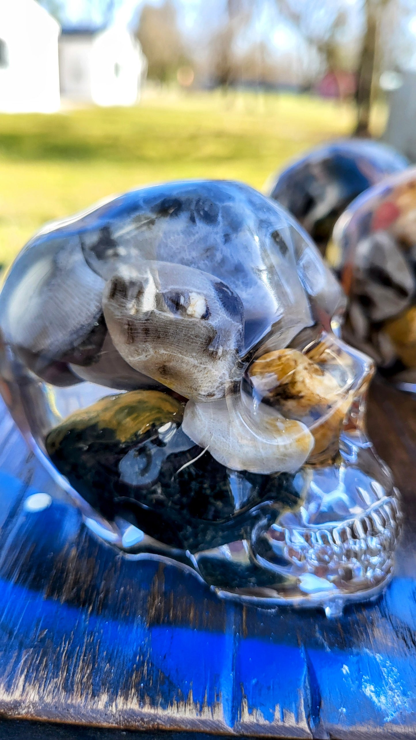 Petoskey Skull - small