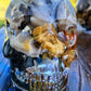 Petoskey Skull - medium