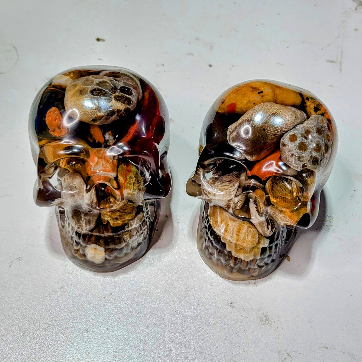 Petoskey Skull (my choice)