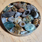 Petoskey Coasters