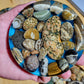 Petoskey Coasters