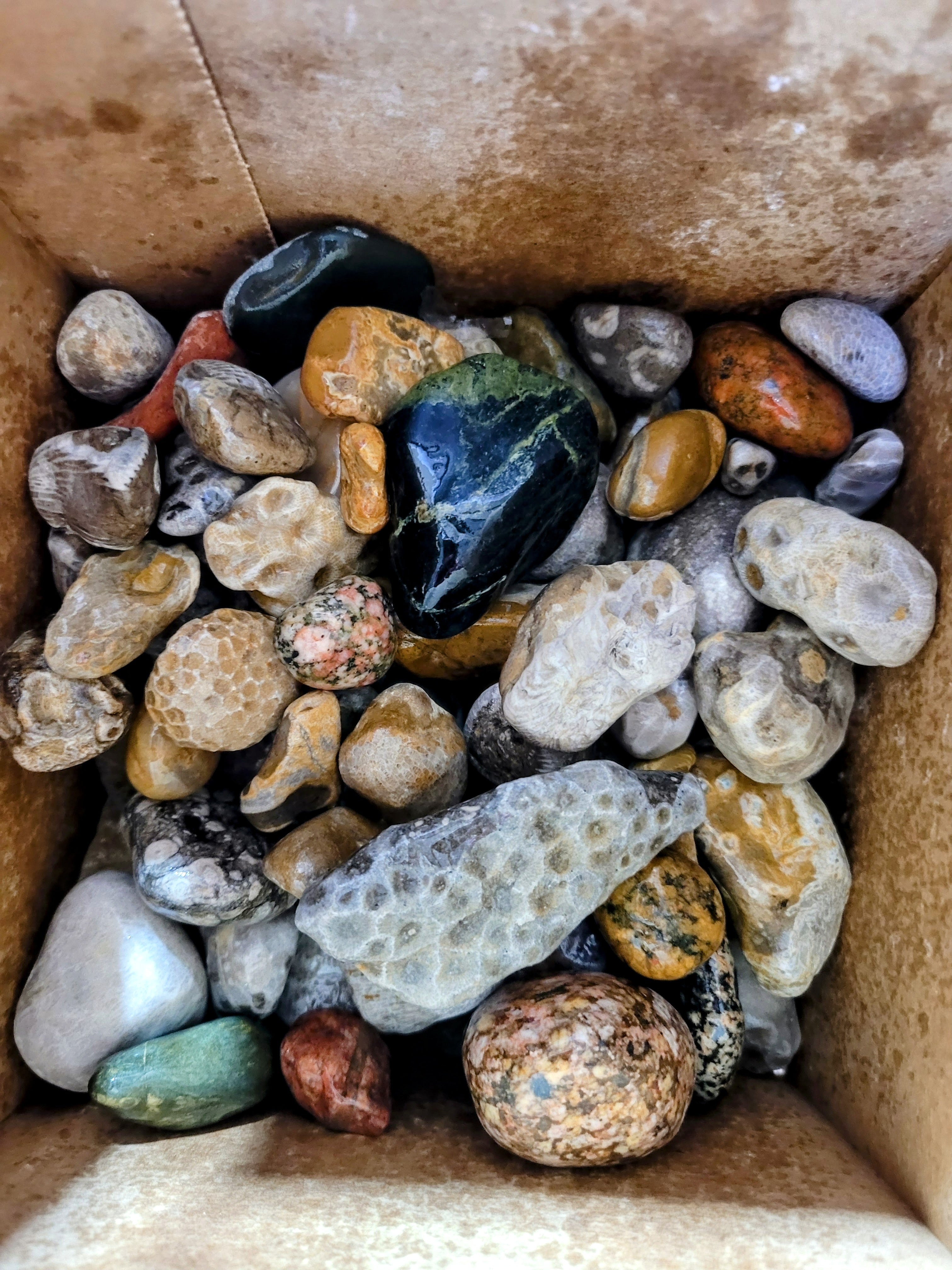 Phywe Sample Rocks Box Box of Great Lakes Rocks!! – Nita's Fluid Woodworks
