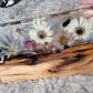 Wedding Bouquet Preservation – Custom Resin Floral Keepsake for Brides & Newlyweds