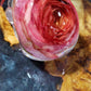 1000013560-scaled.jpg