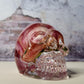 Secret Sauce Rose Skully