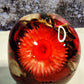 Candy Apple Red Skull