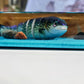 Gone Fishin Charcuterie/ Wall art