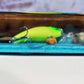 Gone Fishin Charcuterie/ Wall art