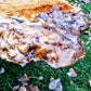 burl7